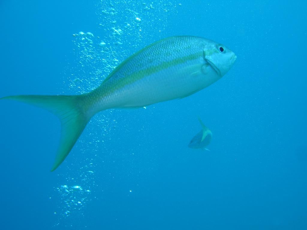 2008-05-12 16-31-32.JPG